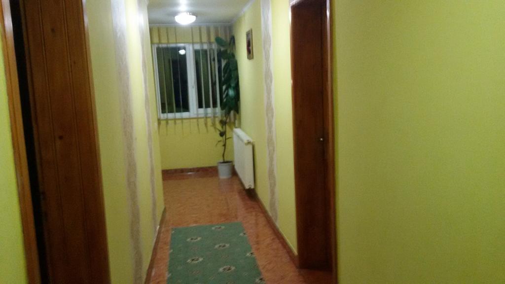 Pensiunea Malina Felsőmoécs Kültér fotó